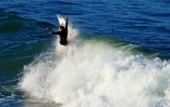 surf