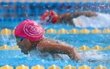 Championnat de natation de La Réunion