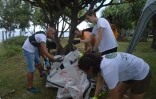 "Coup de Prop" à la Ravine Blanche : 375 kilos de déchets collectés 