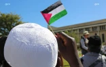 Manifestion palestine