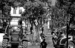 manifestation planteurs 