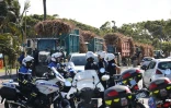 tracteurs planteurs