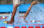Natation 
