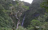 Cascade Biberon 