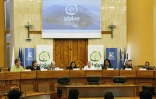 Glaive conseil départemental