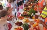 Marché péi pour les enfants à Saint Denis