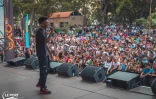 13 000 réunionnais réunis au Ti picnic Exo du Port 