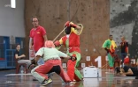 canne de combat 2016