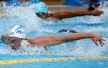 meeting natation 2017