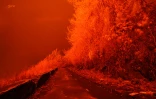 Volcan 