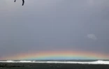 kite surf 