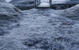 givre sur la route du volcan