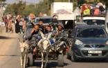 Guerre Israël - Hamas