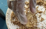 Recette du bonbon millet de thomas