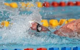 natation 