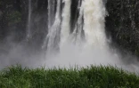 Pluies Est