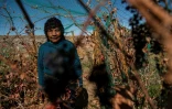 Cecilia Cruz, 67 ans, parcourt son petit domaine viticole de Caracoles, situé dans la localité de Socaire, à 3.600 mètres d'altitude, dans le désert d'Atacama, le 17 mai 2022