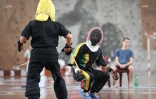 canne de combat 2016