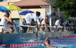 natation 