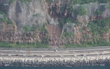 PHOTOS - Les blocs de pierre sont partis du sommet de la falaise