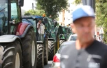 Manifestation des planteurs