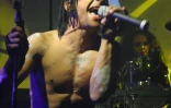 Concerts au Bisik