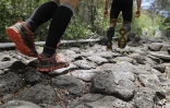 Grand Raid 2019