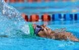 interclubs natation à plateau caillou 