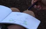 Les jeunes de Saint-Paul célèbrent le patrimoine de l’île lors d’une aventure artistique inédite 