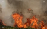Incendie au Maïdo 