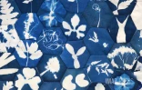 expo le songe bleu 