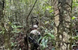 Photo diffusée par l'armée colombienne de militaires participant à l'opération de recherche des quatre enfants disparus dans la jungle. Photo datée du 23 mai