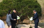 Le président sud-coréen Moon Jae-in (d) et le leader nord-coréen Kim Jong Un plantent un arbre pendant le sommet intercoréen, le 27 avril 2018 à Panmunjom