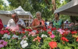 Fête des mères
