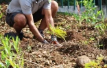 création micro-forêt Département EDF 