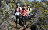 trail du volcan, 1er mai, sport, Bourg Murat, course