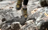 Grand Raid
