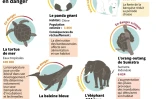 Sélection d'animaux en danger ou vulnérables et leseffets du réchauffement climatique sur leur avenir proche 