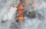 Feu du Maïdo