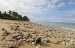 La houle se déchaîne sur le littoral jeudi 19 avril