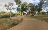 parc boisé au port 