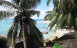 Culture créole aux Seychelles