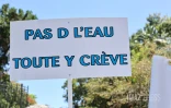 manifestation agriculteurs