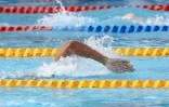 meeting natation 2015