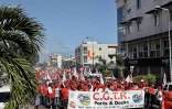 fête du travail, défilé, cortège, CGTR, gilets jaunes, manifestation, Le Port