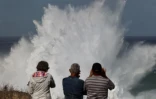 houle en bord de mer avec de grosses vagues