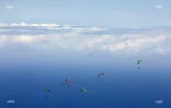 coupe du monde de parapente 2016 