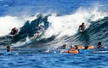 Les surfeurs repennent le chemin de l'entraînement 23 mai 2020