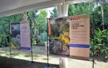 exposition "Histoire des Hommes et des espèces à La Réunion" AVE2M