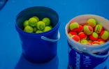 Saint-Denis : inauguration des courts de tennis à Primat